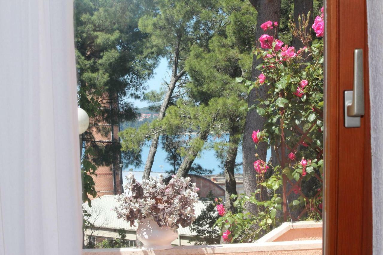 Apartments Villa Lucu Rovinj Room photo